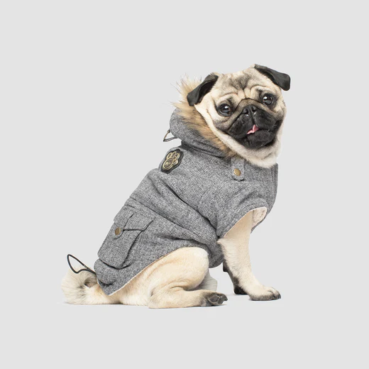 Canada Pooch - Veste d'hiver résistante à l'eau - Army Parka pour chien | Gris – Image 2