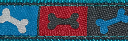 Hunter - Collier Nylon - Chien | 1" x 22" - Os cubes bleu