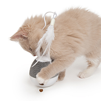 Catit PIXI Jouet électronique pour chat Spinner