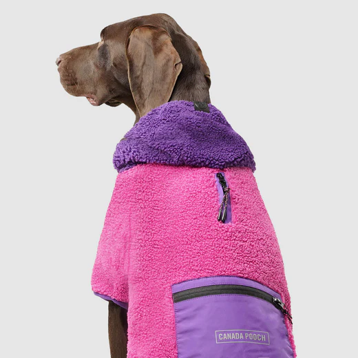 Canada Pooch - Sweat à capuche pour chien | Mauve et rose - 8'' – Image 3
