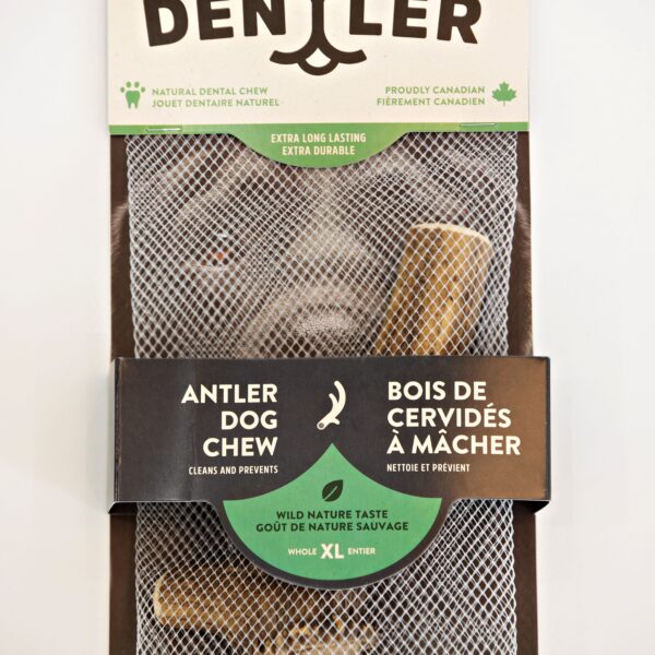 Dentler Bois De Cervidés Entier Nature Sauvage
