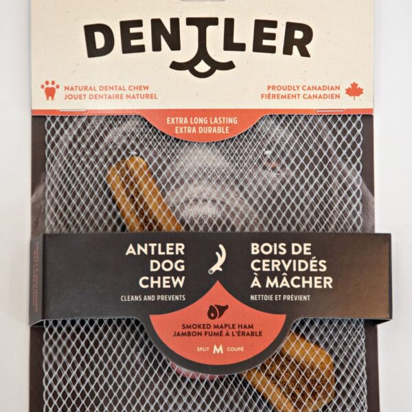 Dentler Bois De Cervidés Tranchés Fumé à L'érable