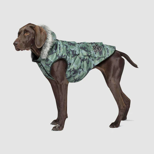 Canada Pooch - Everest Explorer - Veste Cargo résistante à l'eau pour chien | Camouflage vert – Image 4