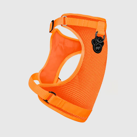 Canada pooch - Everything Harness - Harnais pour chiens | Orange