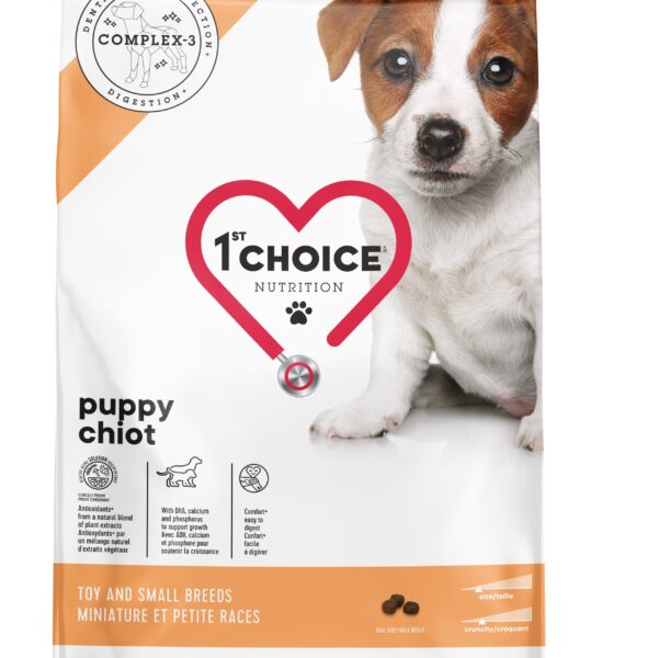 1st choice chiot miniature et petite races poulet