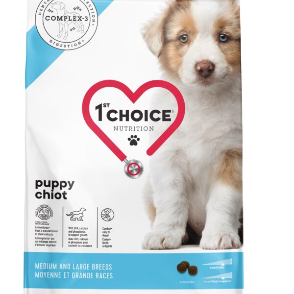 1st choice chiot moyenne & grande races poulet