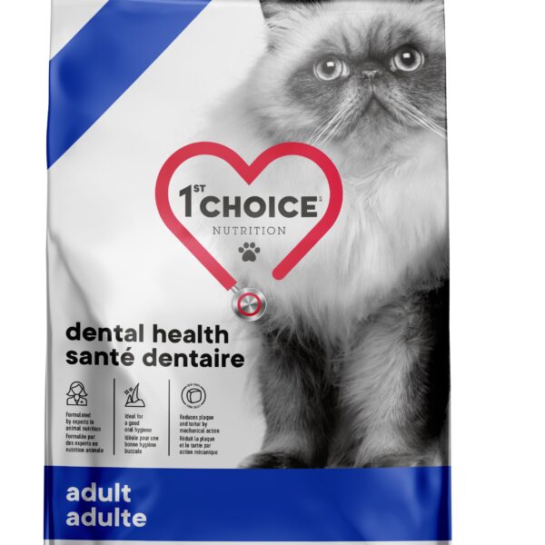 1st choice dentaire chat