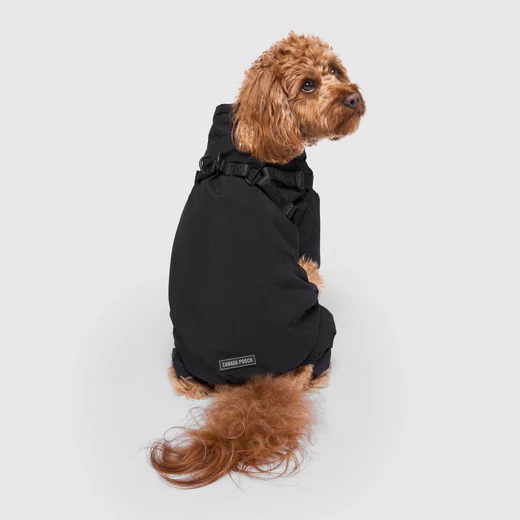 Canada Pooch - Combinaison de neige avec harnais | Noir – Image 3