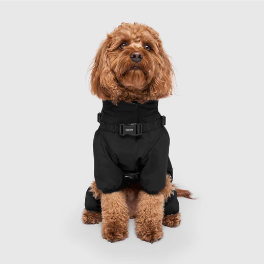 Canada Pooch - Combinaison de neige avec harnais | Noir – Image 2