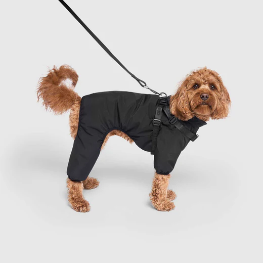 Canada Pooch - Combinaison de neige avec harnais | Noir – Image 4