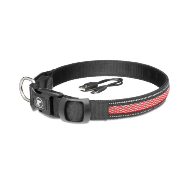 Le bon chien | Collier lumineux rechargeable ECLIPSE