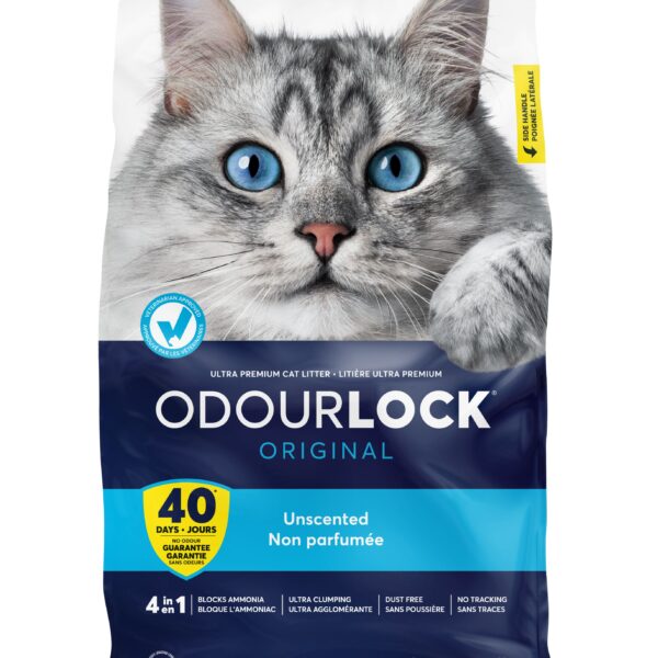 Intersand Odourlock Litière Agglomérante Non Parfumée 12 Kg