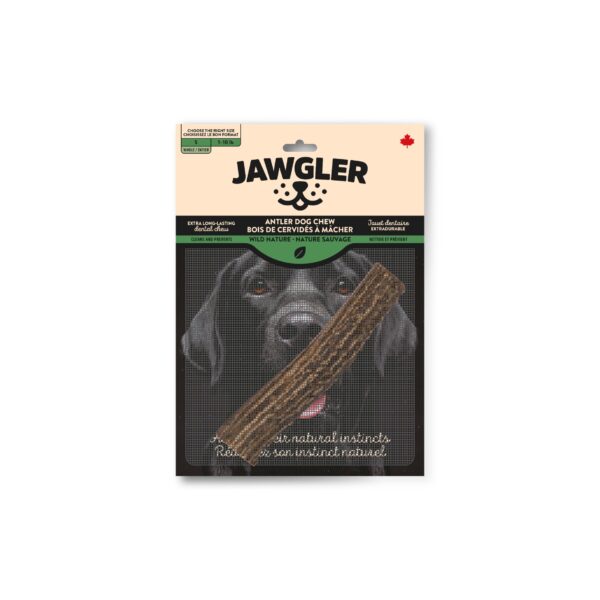 Jawgler - Bois De Cervidés Entier | Nature Sauvage