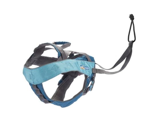Kurgo - Harnais de canicross pour chien - Bleu
