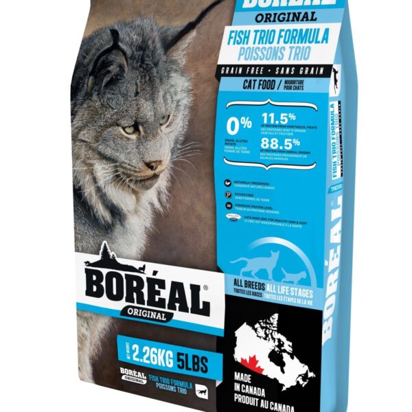 Boréal Original chat