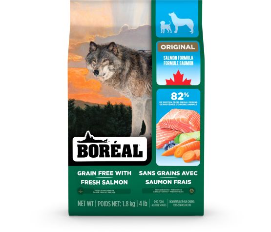 Boréal Original chien