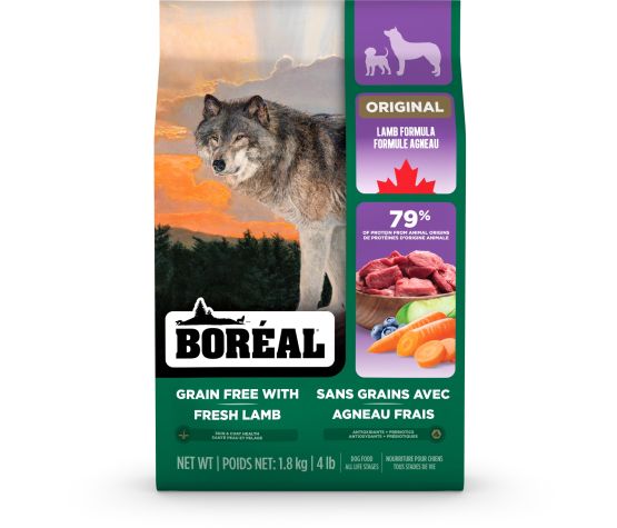 Boréal Original chien – Image 2