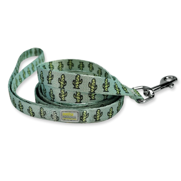 Petite Pistache - Laisse avec imprimée en nylon | Chien miniature - 5/16" x 5'