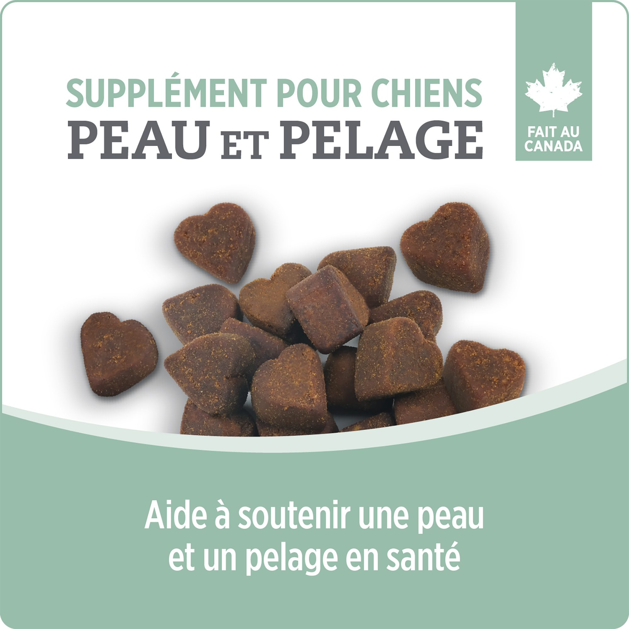 Nutrience Care+ | Supplément Peau et pelage pour chien - 400g – Image 3