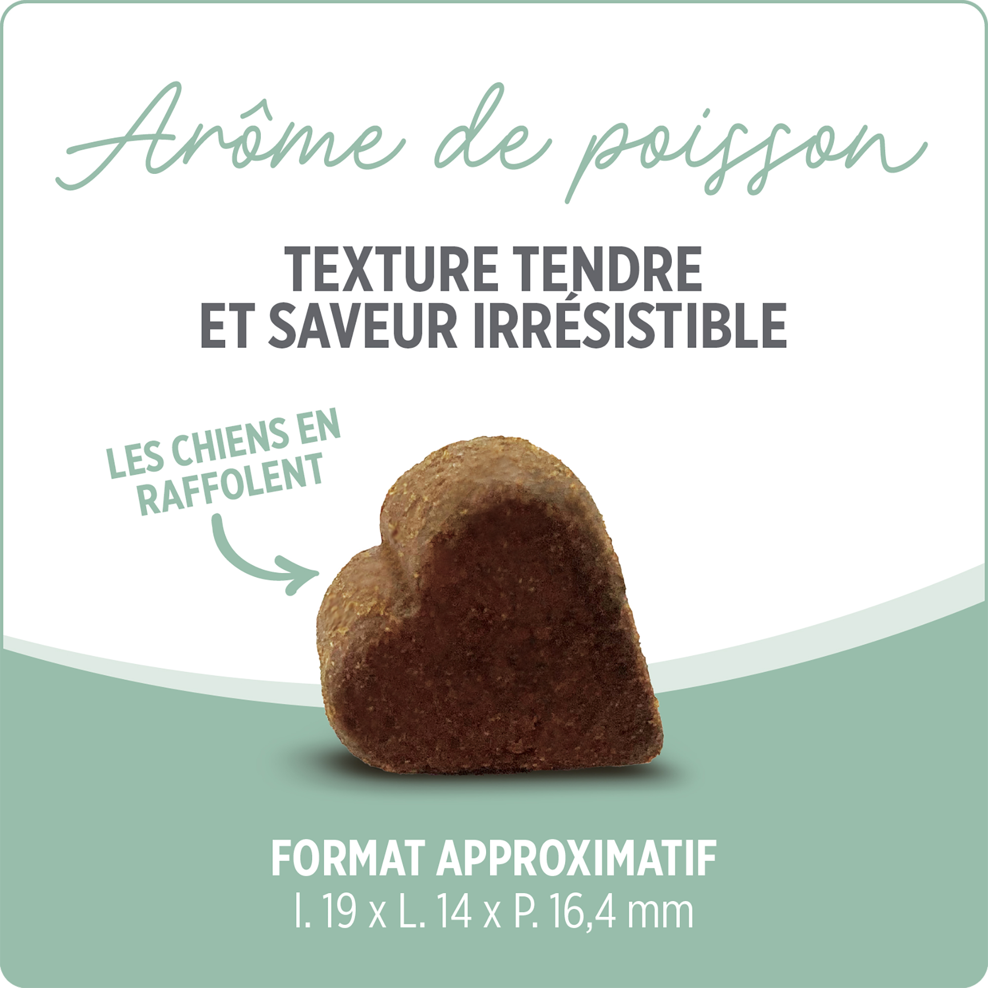 Nutrience Care+ | Supplément Peau et pelage pour chien - 400g – Image 4