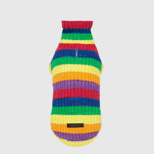 Canada Pooch - Pull en tricot | Arc-en-ciel