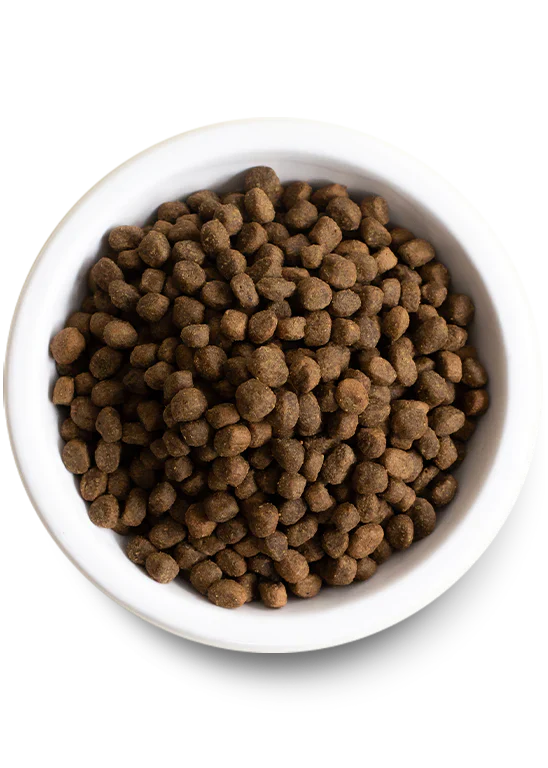 Open Farm - Kind Earth | Nourriture à base de plantes | Chien - 20lbs – Image 2