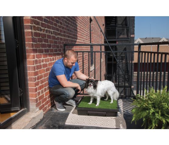 Petsafe - ''Pet Loo''