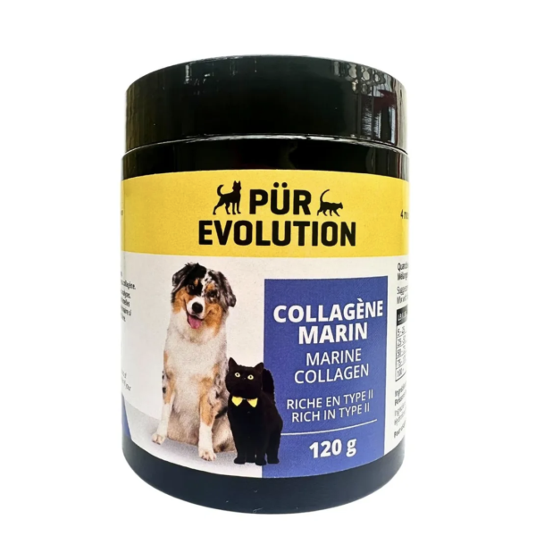 Pür Évolution | Collagène Marin 120g | TYPE II - Soutien articulaire et structurel du cartilage