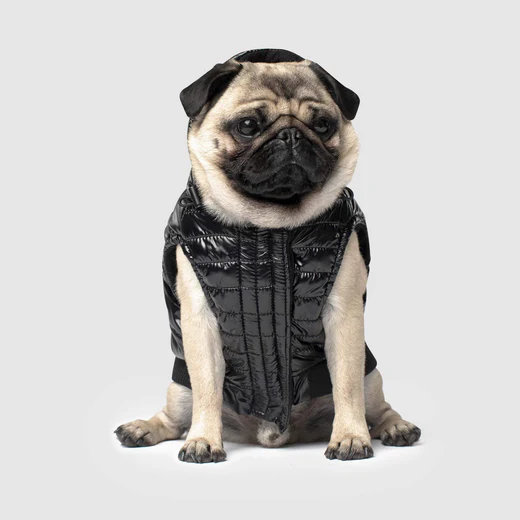 Canada Pooch - Gilet matelassé brillant pour chien | Noir – Image 2