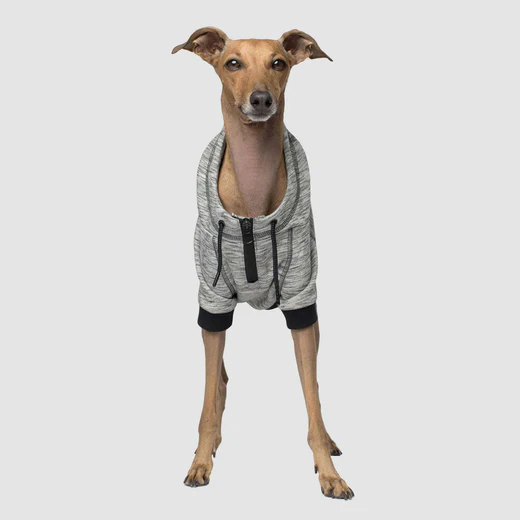 Canada Pooch - Sweat à capuche Spacedye Hero | Gris – Image 3