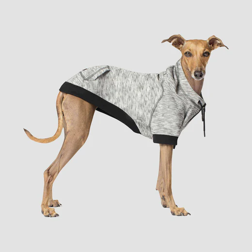 Canada Pooch - Sweat à capuche Spacedye Hero | Gris – Image 2