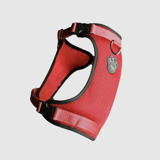 Canada pooch - Everything Harness - Harnais pour chiens | Rouge