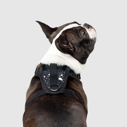 Canada pooch - Everything Harness - Harnais résistant à l'eau pour chiens | Éclaboussures – Image 2