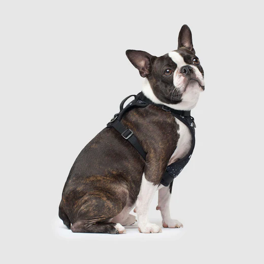 Canada pooch - Everything Harness - Harnais résistant à l'eau pour chiens | Éclaboussures – Image 3