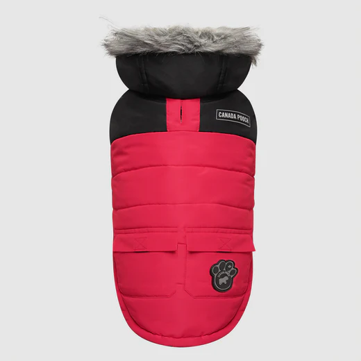 Canada Pooch - Manteau d'hiver Parka | Rouge