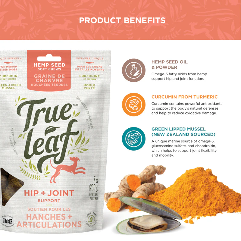 True Leaf - Bouchées tendre | Soutien Hanches et Articulations pour chien – Image 2