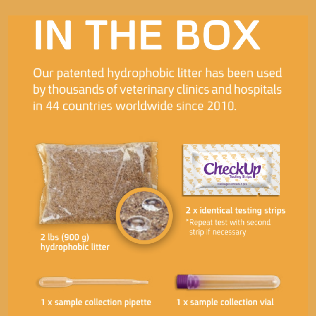 CheckUp - Kit de détection avec indicateur de santé | Chat – Image 2