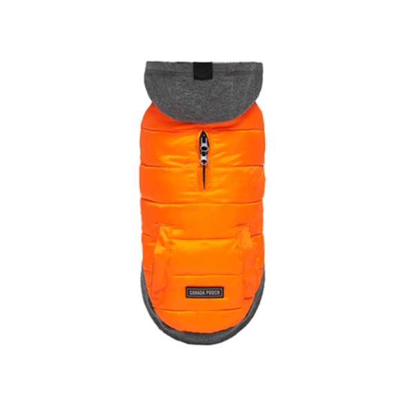 Canada Pooch - Sweat à capuche isolé | Orange et gris