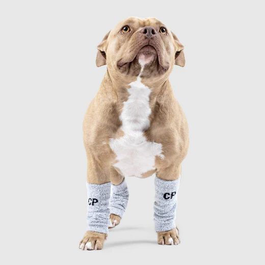 Canada Pooch - Jambières pour chien | Gris - Pqt 4 – Image 3