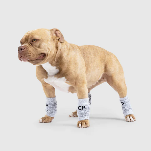 Canada Pooch - Jambières pour chien | Gris - Pqt 4 – Image 4