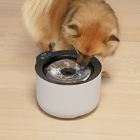 Zeus oasis plus - Abreuvoir intelligente pour chien et chat – Image 7