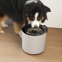 Zeus oasis plus - Abreuvoir intelligente pour chien et chat – Image 13