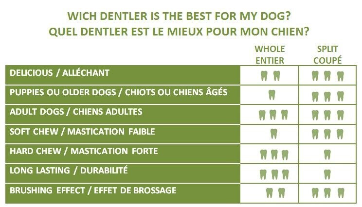 Dentler Bois De Cervidés Entier Nature Sauvage – Image 2