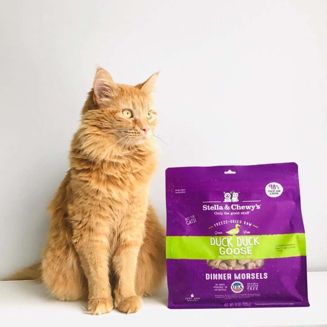 Stella & Chewy's Repas lyophilisé pour chat Canard et Oie – Image 2