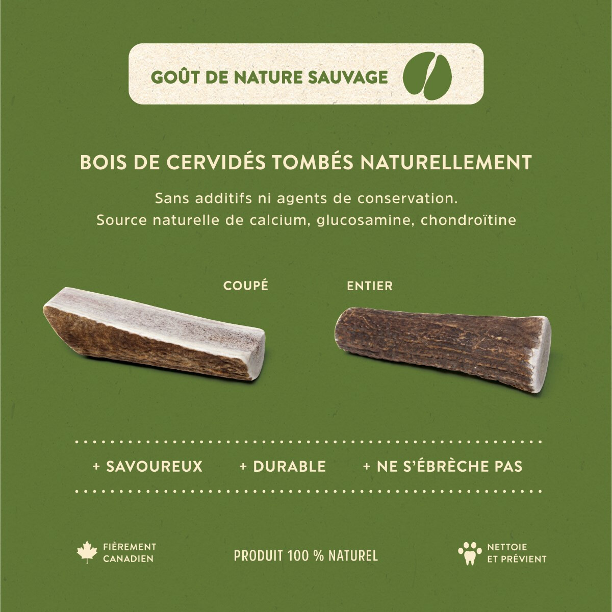 Dentler Bois De Cervidés Entier Nature Sauvage – Image 3