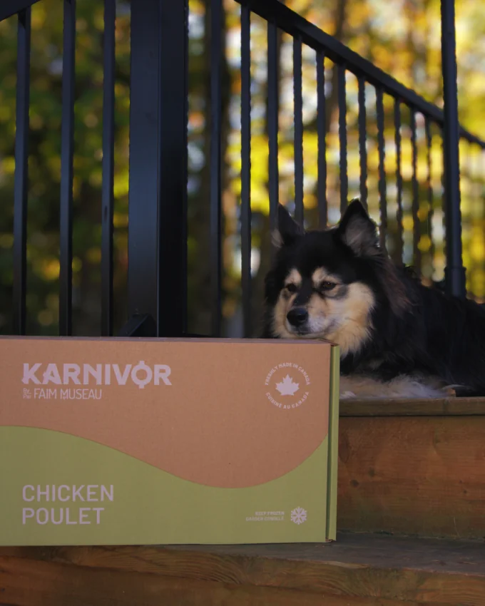 Karnivor - Nourriture crue pour chien | Poulet - 24 lbs – Image 4