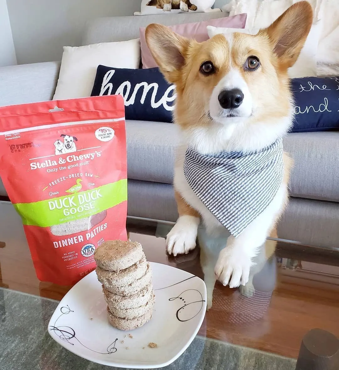 Stella & Chewy's repas lyophilisé pour chien Canard et oie – Image 2
