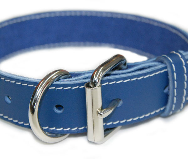 Arizona - Collier cuir latigo simple 3/8"x 8" | Bleu
