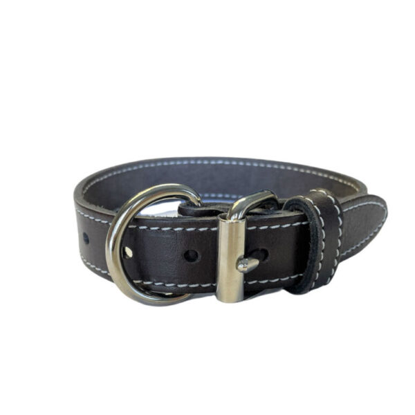 Arizona - Collier latigo simple 1"x 18" | Brun