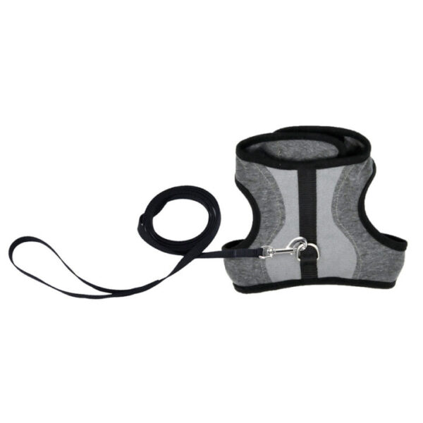 Coastal - Laisse 6' + Harnais 8-12lbs pour chat | Gris et noir